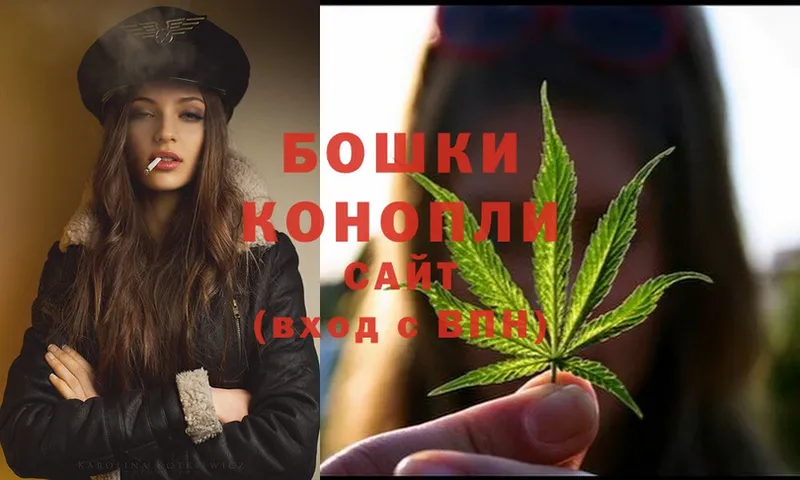 Бошки Шишки White Widow  наркота  Новосибирск 